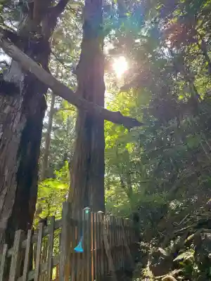 玉置神社(奈良県)