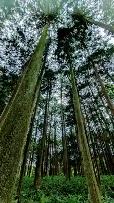 小池神明神社(岐阜県)