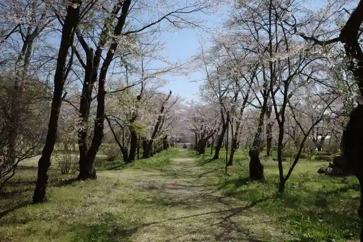 松川神社の自然