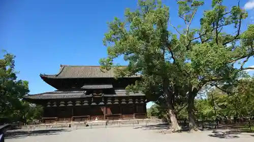 東寺（教王護国寺）(京都府)