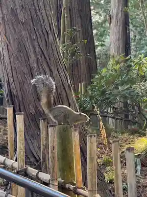 円覚寺(神奈川県)