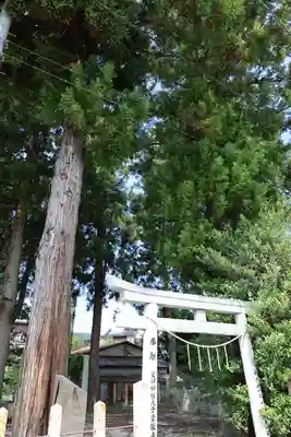 斐伊神社(島根県)