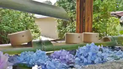 勝林寺の手水舎