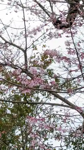 大豊神社(京都府)