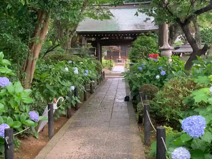 妙楽寺のその他建物