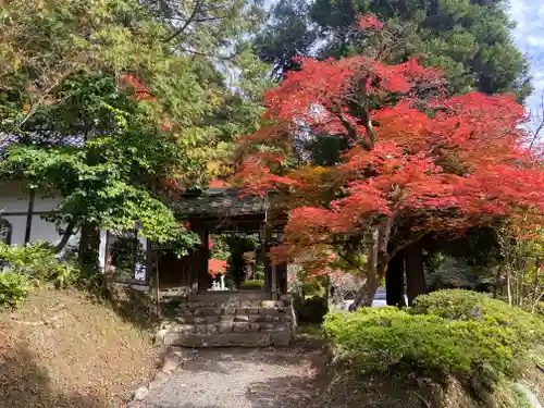 安国寺(京都府)