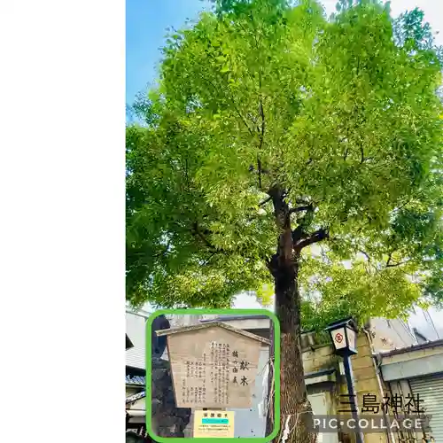 三島神社の自然