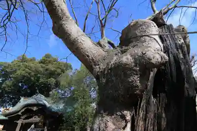 阿邪訶根神社の本殿・本堂