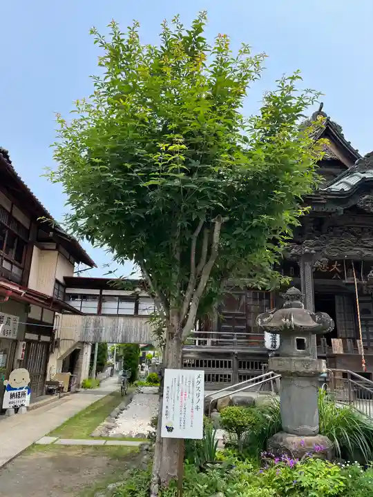 秩父札所十三番 慈眼寺(埼玉県)