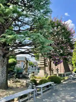 泉沢寺(神奈川県)