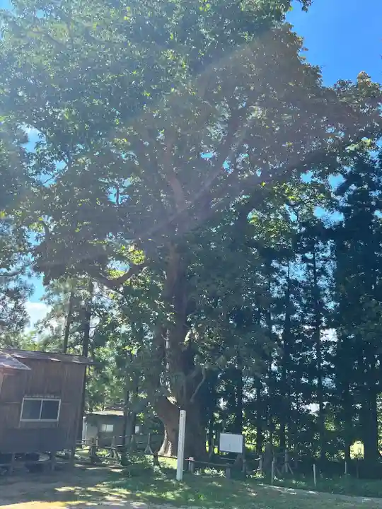 光清寺(山形県)