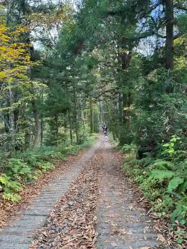 戸隠神社九頭龍社(長野県)