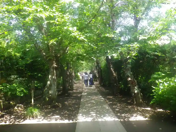 極楽寺(霊鷲山感應院極楽律寺)のその他建物