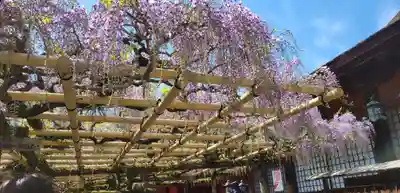 春日大社の周辺