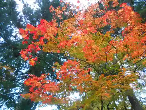 華厳寺(岐阜県)