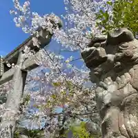 代田八幡宮の狛犬