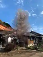 千手院のその他建物