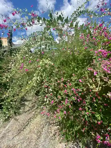 勝念寺（かましきさん）(京都府)