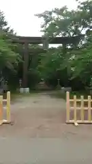 冨士御室浅間神社の鳥居