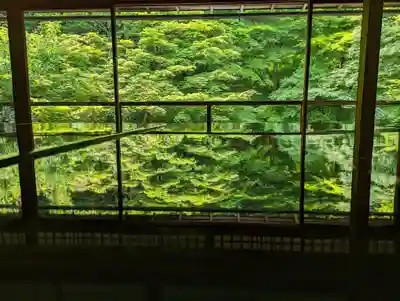 光明寺瑠璃光院(京都府)