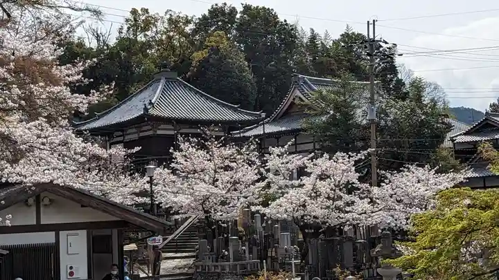 くろ谷 金戒光明寺(京都府)