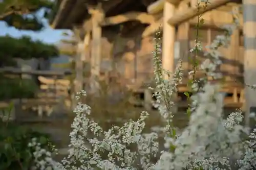 白山媛神社(新潟県)