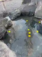 温泉神社〜いわき湯本温泉〜(福島県)