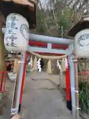 藤ヶ崎龍神社(滋賀県)