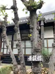 圓通寺の自然