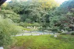 青蓮院門跡の景色