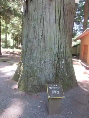河口浅間神社のその他建物