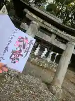 武田八幡宮の御朱印