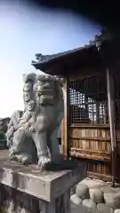 太部神社の狛犬