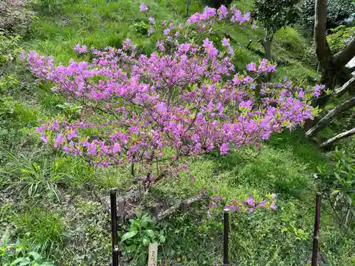 石清水八幡宮(京都府)