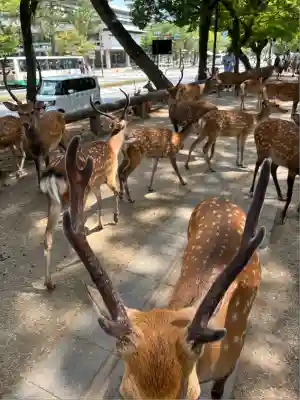 興福寺(奈良県)