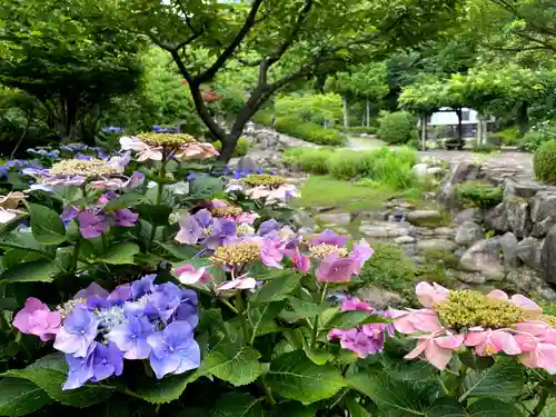 東大寺別院阿弥陀寺の自然