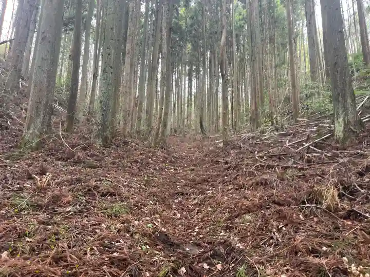 夏井諏訪神社の{uncategorized: "未分類", other: "その他", undefined: "問題あり", building: "その他建物", grave: "お墓", sacred_gate: "鳥居", guardian: "狛犬", statue: "像", buddha: "仏像", history: "歴史", nature: "自然", garden: "庭園", animal: "動物", pagoda: "塔", temizu: "手水舎", mountain_gate: "山門・神門", sanctuary: "本殿・本堂", subordinate: "末社・摂社", art: "芸術", scenery: "景色", jizo: "地蔵", ema: "絵馬", goshuin: "御朱印", omikuji: "おみくじ", items: "授与品その他", amulet: "お守り", goshuincho: "御朱印帳", eats: "食事", festival: "お祭り", votive_dance: "神楽", shichigosan: "七五三参", wedding: "結婚式", experience: "体験その他", initially: "初詣", around: "周辺", anti_infection: "感染症対策"}