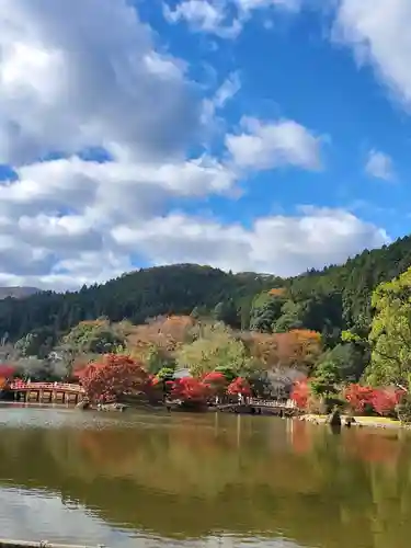 白水阿弥陀堂の庭園