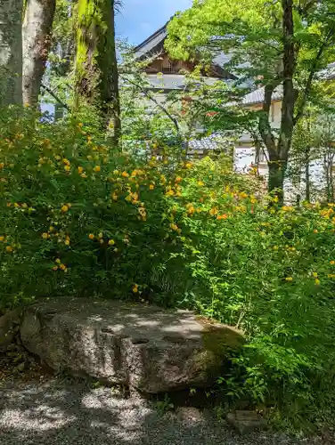 松尾大社(京都府)