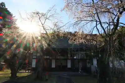 高乾院の景色