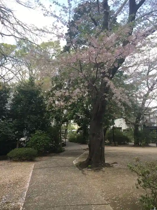 延寿院(千葉県)