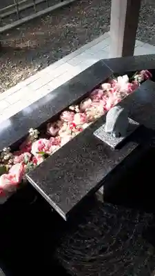 新琴似神社の手水舎