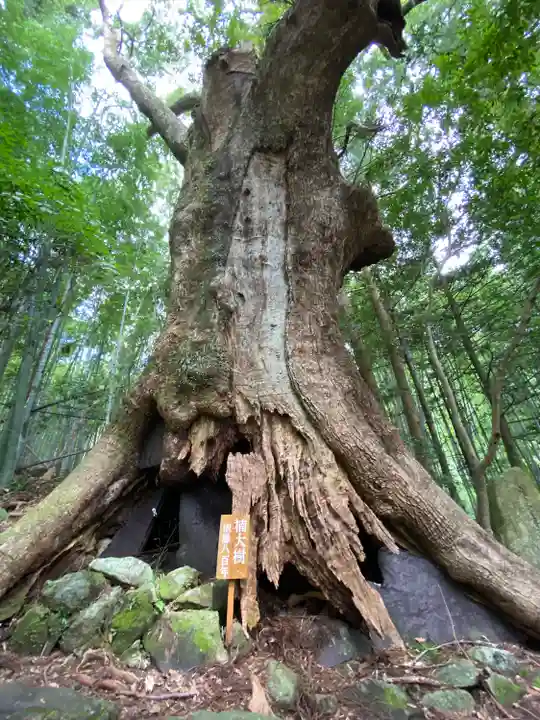 熊野那智大社(和歌山県)