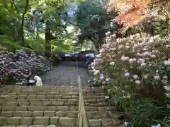 室生寺(奈良県)