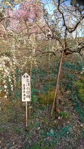 大縣神社の庭園