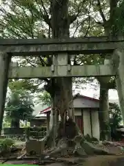 出雲大社相模分祠(神奈川県)