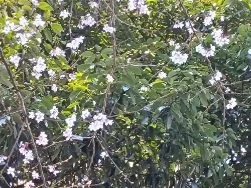 （長良）天神神社(岐阜県)