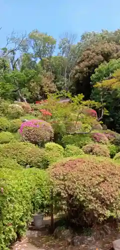 等覚院(神奈川県)