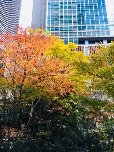 福徳神社（芽吹稲荷）の自然
