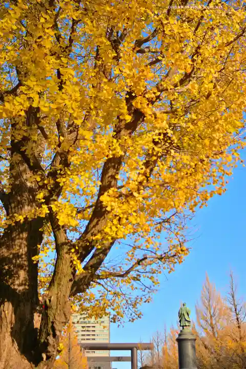 靖國神社(東京都)